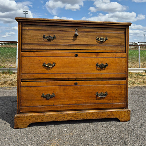 Antique satin wood - wood, secretaire