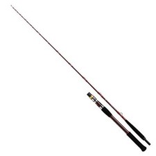 Daiwa Fishing Rod  21 Deep Zone GS 200-205 / R