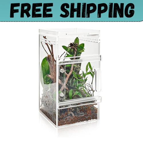 Pre assembled jumping spider - pre-assembled,