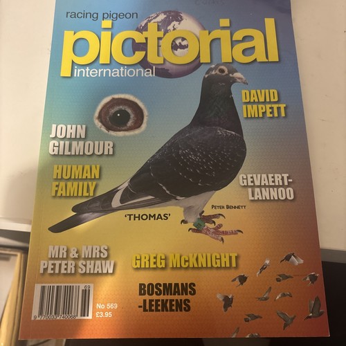 The racing pigeon pictorial - racing,