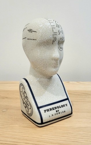 Phrenology head l n - 16, cm