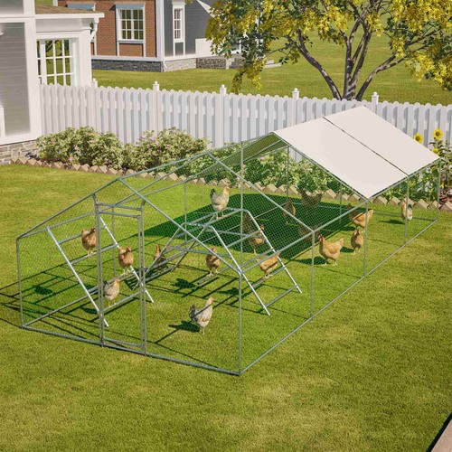 Chicken run cage walk - pet, hen