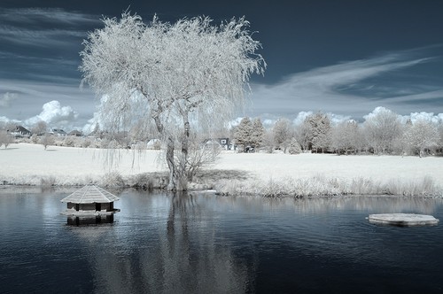 Nikon d90 infrared converted - d90,