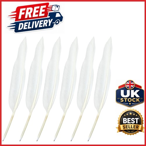 White goose feather quill - feather,