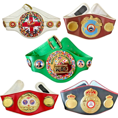 World class boxing fighting - world,