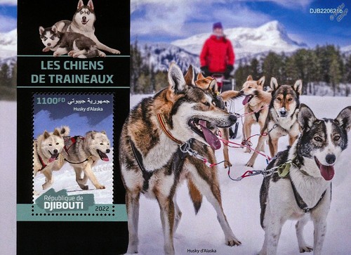 Sled dogs alaskan husky sledge - husky,