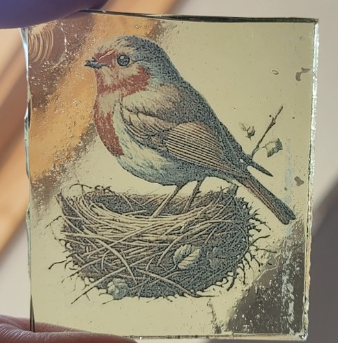 Stained glass robin - stained, bird