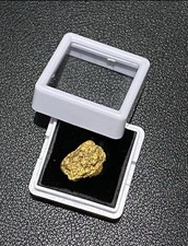  5.86g chunky ALASKAN  raw