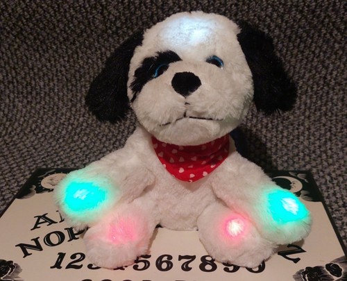Ghost hunting emf puppy pod - ghost,