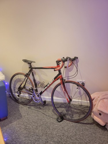 Raleigh airlite 100 - airlite,