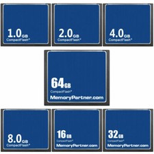 Indmem Oem Standard 2GB Compact Flash CF Memory Card Camera