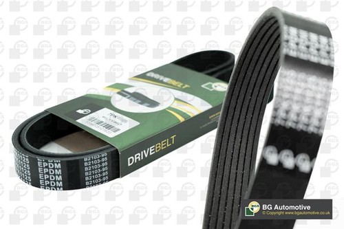 Bga 7pk2255 ribbed belt - belt, fits