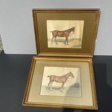 Century pair horse - 19, th
