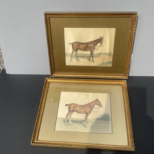 Century pair horse - th,