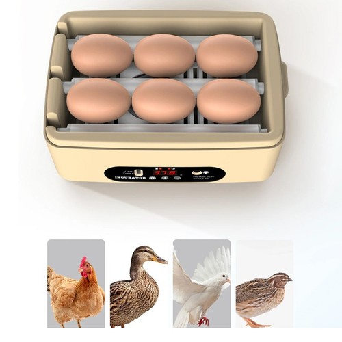 Mini egg incubator - mini,