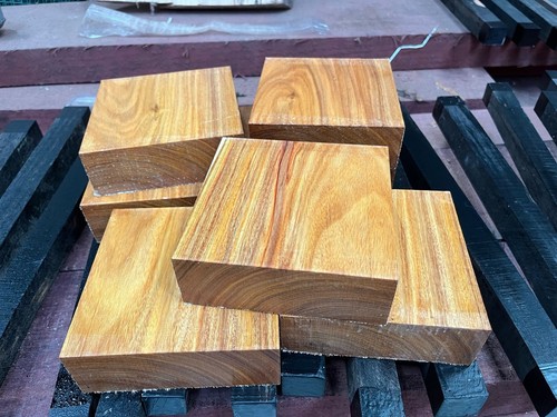 Canarywood 6 x - 1, 2”