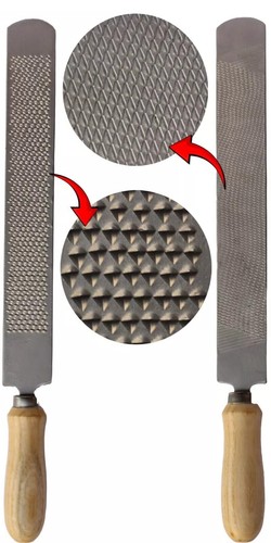 Introducing the hoof - hoof, rasp