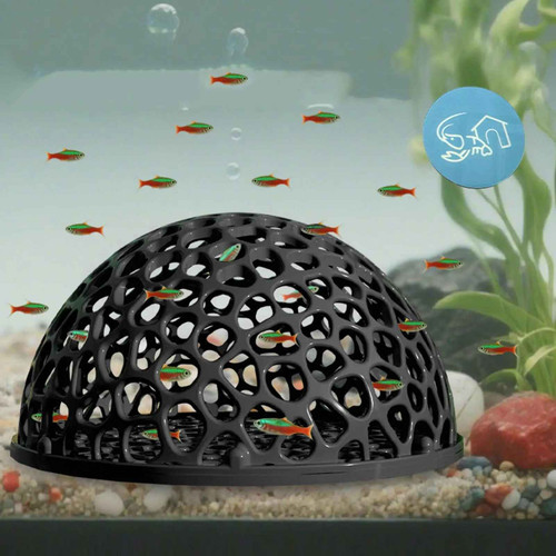Shrimp breeding cave fish - shrimp,
