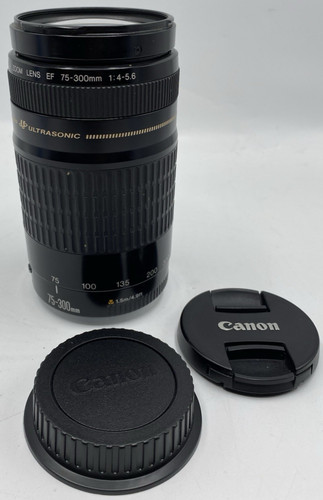 Canon 300mm lens 4 - lens, f/4-5.6