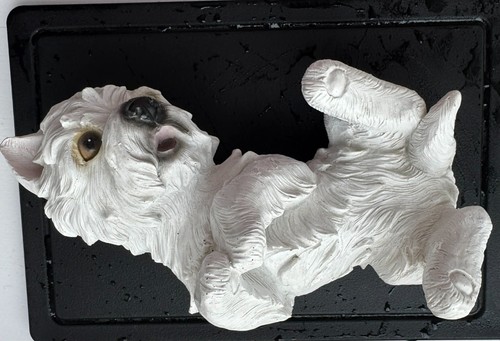West highland terrier - west,