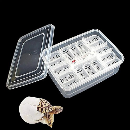 Grids turtles egg incubator - egg,