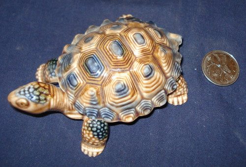 Wade tortoise two piece