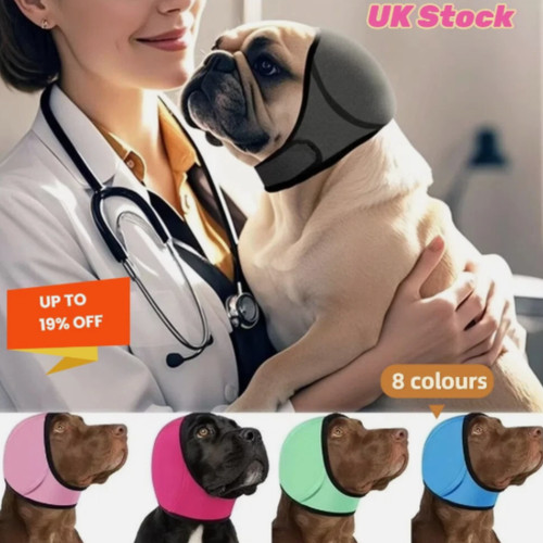 Hearing protection dog calming - dog,