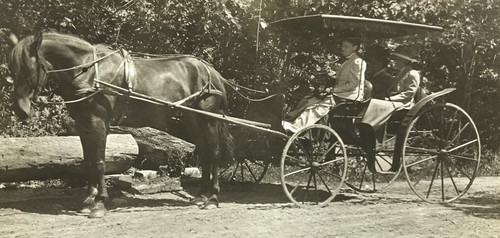 Antique rppc horse drawn buggy - rppc,