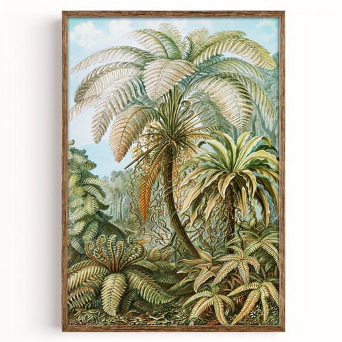 Vintage botanical fern - vintage, tree