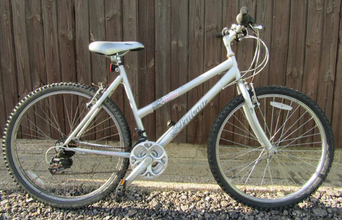 Falcon storm ladies - falcon, mountain