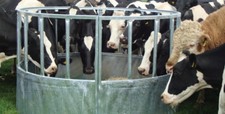 Cattle Ring Feeder Bateman