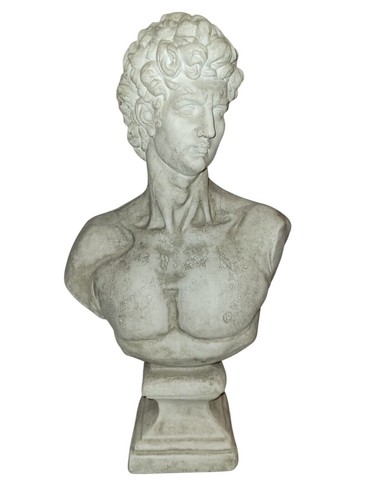 Michelangelo david bust - michelangelo,