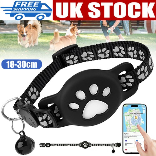 Pet cat dog - cat, locator
