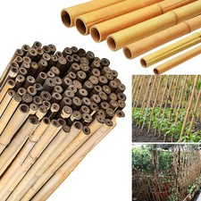 Bamboo Garden Cane Wooden