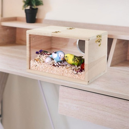 Wooden bird nesting - bird, uk