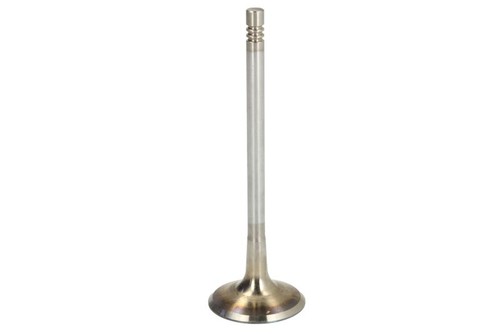 Intake valve 6900 scr fits - intake,
