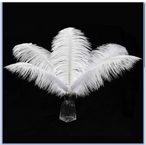 12pcs natural white ostrich - 12pcs,