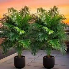 2pcs -  Artificial Green Plant