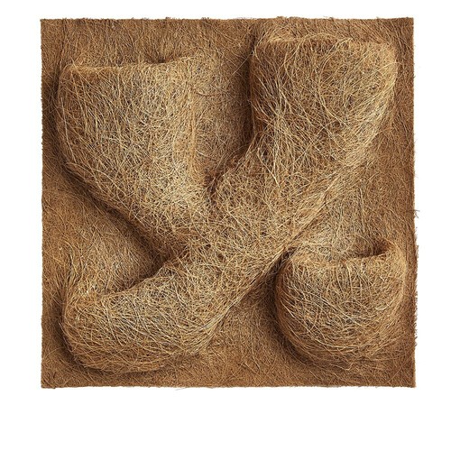 Swell reptiles terrarium - swell,