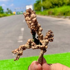 78G Natural copper spherical tree like structure Primitive mineral specimen