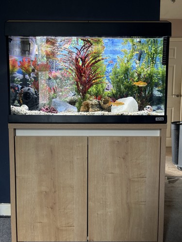 Fluval roma 125l - roma, &