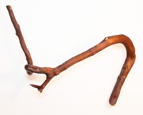 Natural manzanita trunk - 25",