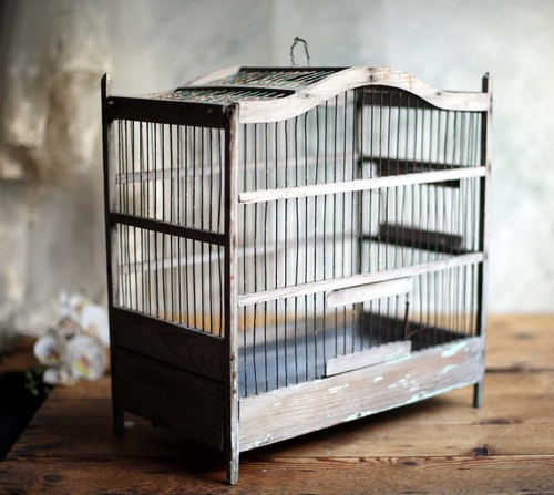 Antique wire bird cage french - wire,
