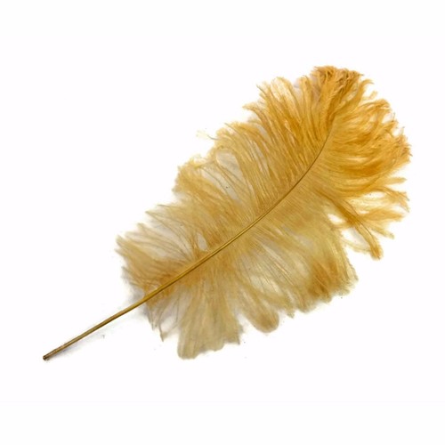 Ostrich feathers beige 10 - -,