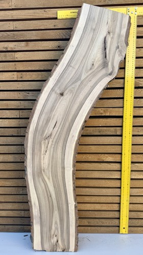 European walnut live - walnut, edge