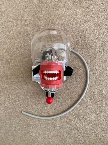 Dental simulator manikin - dental,