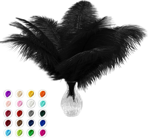 Pcs natural black ostrich - pcs,
