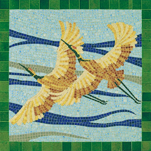Aedes ars birds - ars, kit