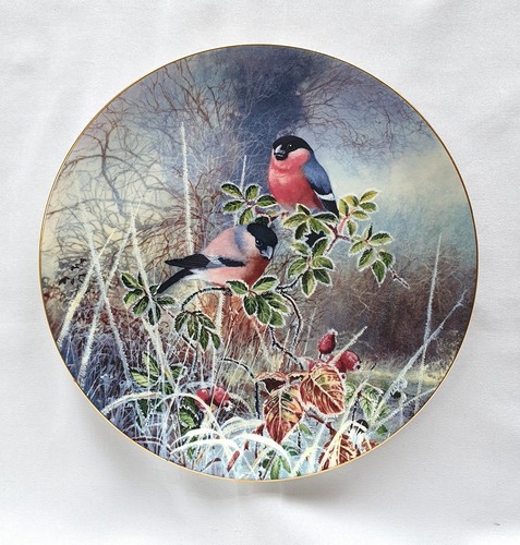 Coalport bone china decorative - coalport,