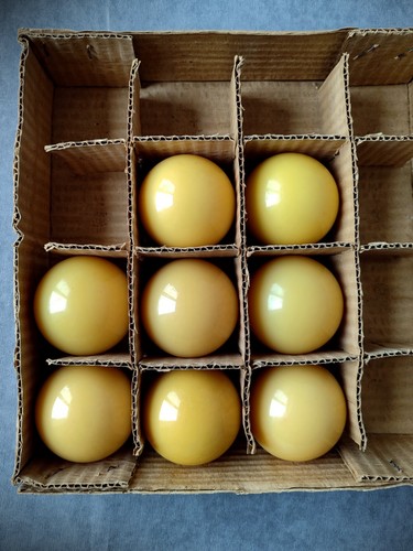 Rare 209g ø61 catalin - rare, Ø61,5